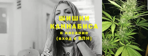 ГАЛЛЮЦИНОГЕННЫЕ ГРИБЫ Аркадак
