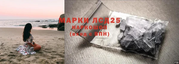ГАЛЛЮЦИНОГЕННЫЕ ГРИБЫ Аркадак