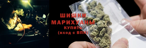 твердый Арсеньев