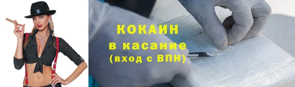 твердый Арсеньев