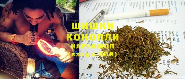 ГАЛЛЮЦИНОГЕННЫЕ ГРИБЫ Аркадак