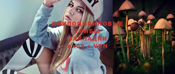 ГАЛЛЮЦИНОГЕННЫЕ ГРИБЫ Аркадак