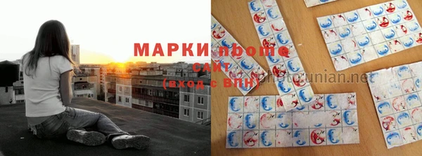 ГАЛЛЮЦИНОГЕННЫЕ ГРИБЫ Аркадак
