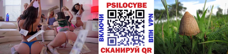 Купить закладки  Костерёво  Галлюциногенные грибы GOLDEN TEACHER 